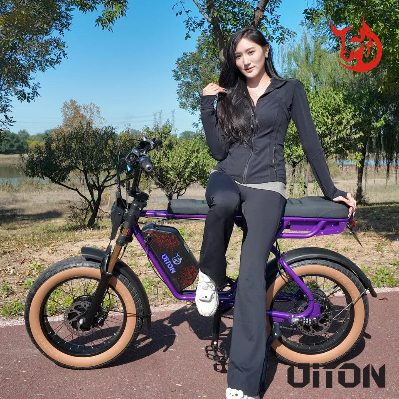 HKM-487187 High-Strength Steel 20" Off-Road Electric Bike with 750W Dual Motors and 48V 25Ah Battery