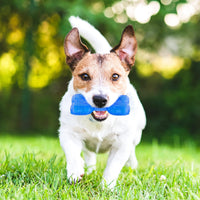HKM-4873405 Cooling Teether Chew Toy for Dogs - Freezable Non-Toxic Puppy Dental Health Toy