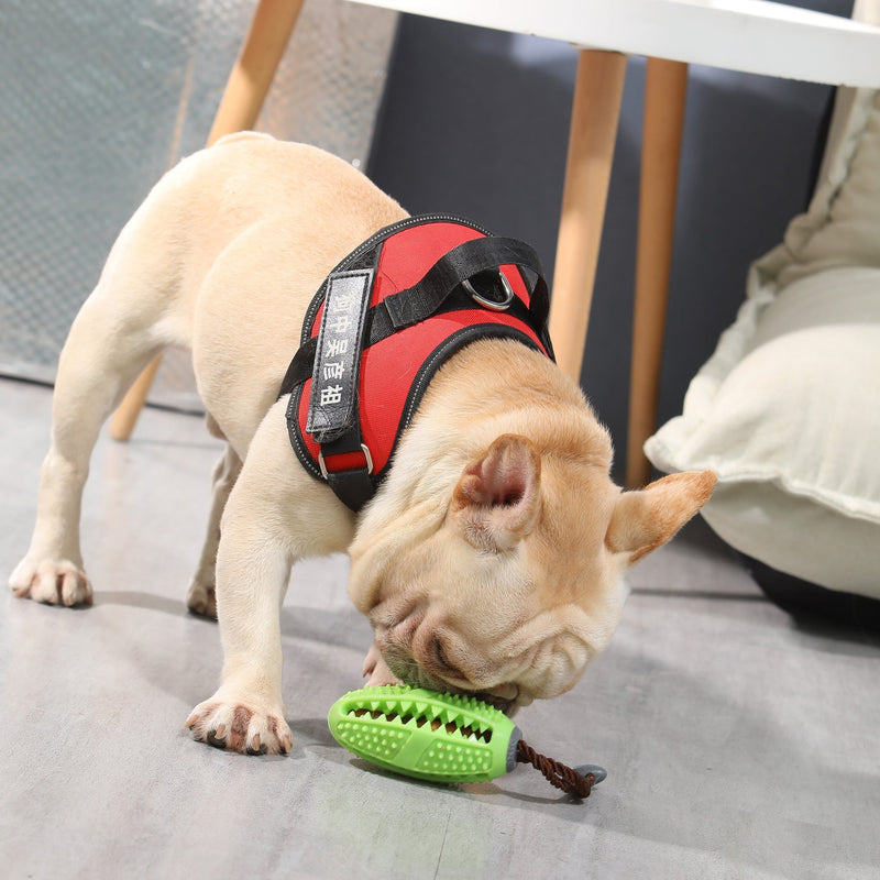 HKM-4874557 Decompressing Elastic Rubber Balls for Pets ¨C Biting Toy in Multiple Colors