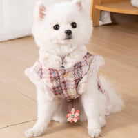 HKM-4876477 Thermal Velvet Rabbit Fur Plaid Coat for Pets - Autumn & Winter Styles in Pink and Blue