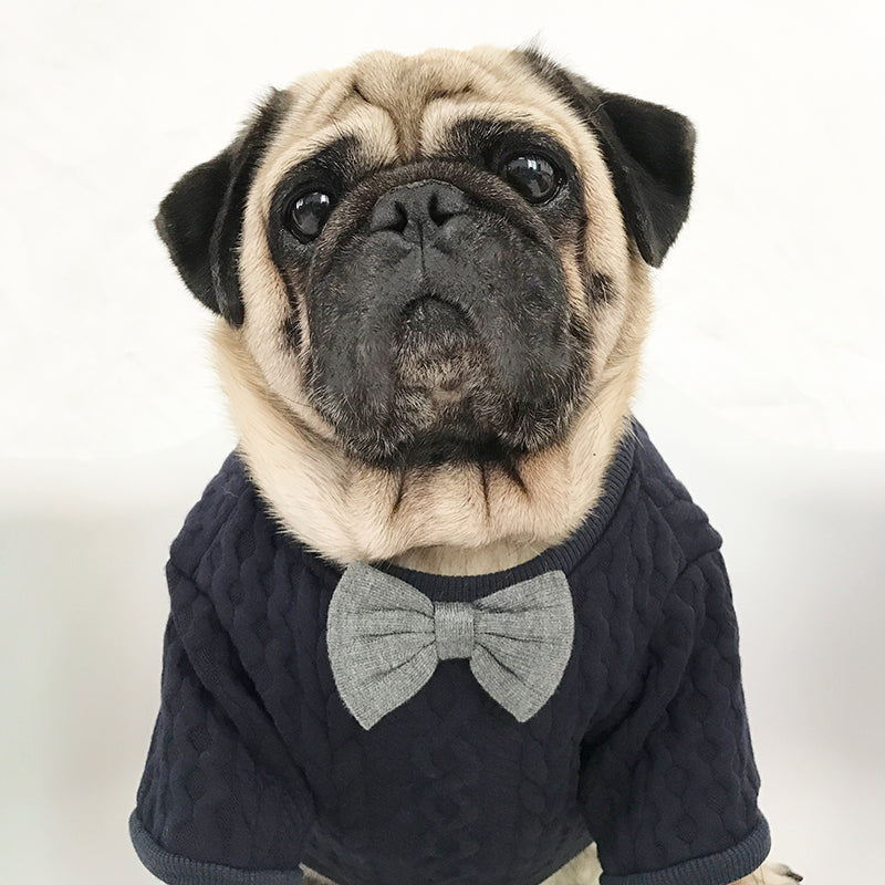 HKM-4878269 Bago Casual Pet Bow Tie Dress for Dogs - XL Graphic Color Design