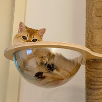 HKM-4879293 DIY Acrylic Cat Climbing Frame with Connectors and Modular Accessories