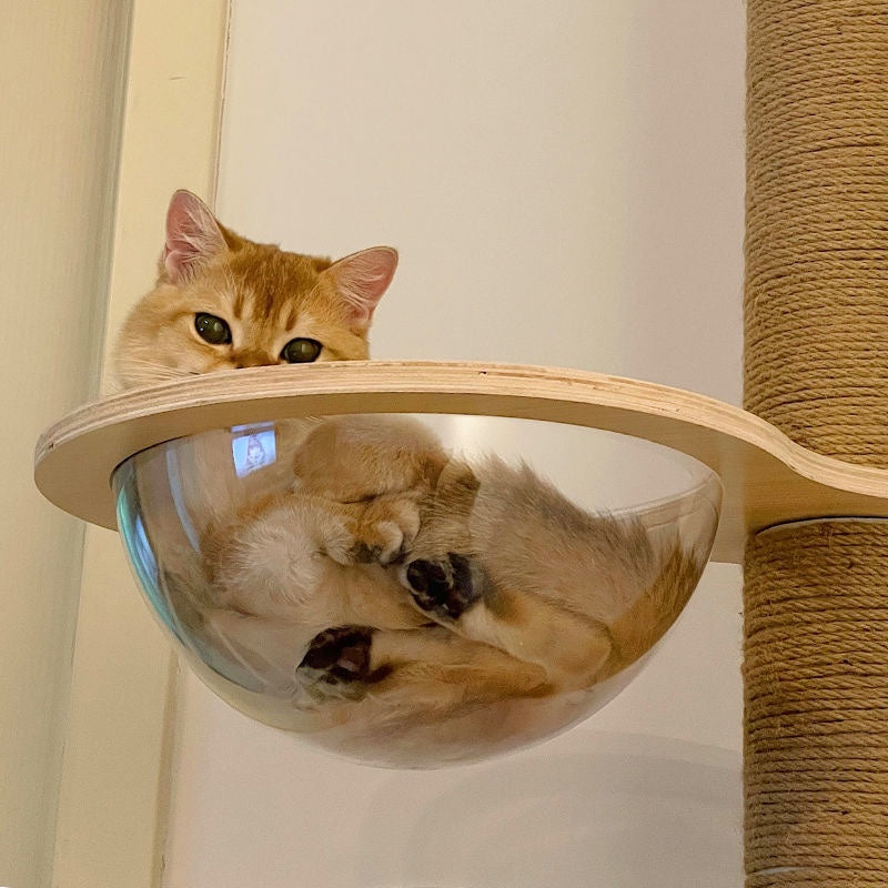 HKM-4879293 DIY Acrylic Cat Climbing Frame with Connectors and Modular Accessories