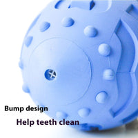 HKM-4880317 Interactive Bite-Resistant Pet Training Ball for Teeth Cleaning & Play