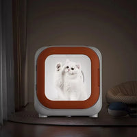 HKM-488275 Eco-Friendly Automatic Pet Hair Dryer Box for Dogs and Cats - Quiet Operation, Temperature Control, 220V