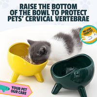 HKM-4884925 Ceramic Cat and Small Dog Food Bowl with Four-Legged Stability and Wide-Mouth Design