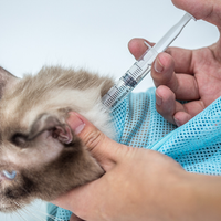 HKM-4885309 Adjustable Cat Grooming Bag for Bathing, Nail Trimming, and Care - Breathable Polyester Mesh Design