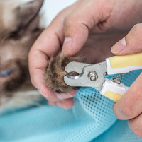 HKM-4885309 Adjustable Cat Grooming Bag for Bathing, Nail Trimming, and Care - Breathable Polyester Mesh Design