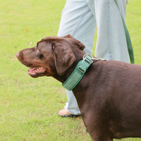 HKM-4892989 Forest Green Dog Backpack Suit with Collar, Leash, and Waste Bag for Outdoor Adventures