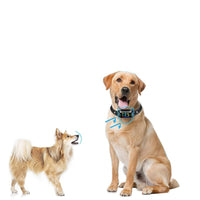 HKM-4895165 Automatic Anti-Bark Device with Remote Control and Electric Shock Collar for Dog Training