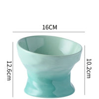 HKM-4899133 Ceramic Cat and Dog Bowl with Cervical Spine Protection - Available in Multiple Colors