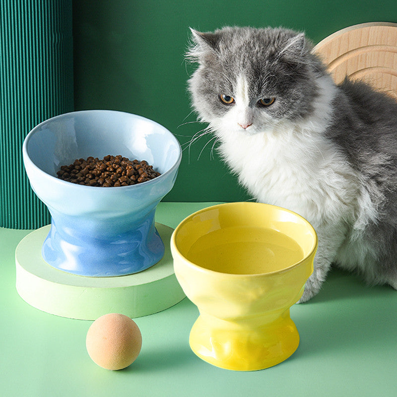 HKM-4899133 Ceramic Cat and Dog Bowl with Cervical Spine Protection - Available in Multiple Colors