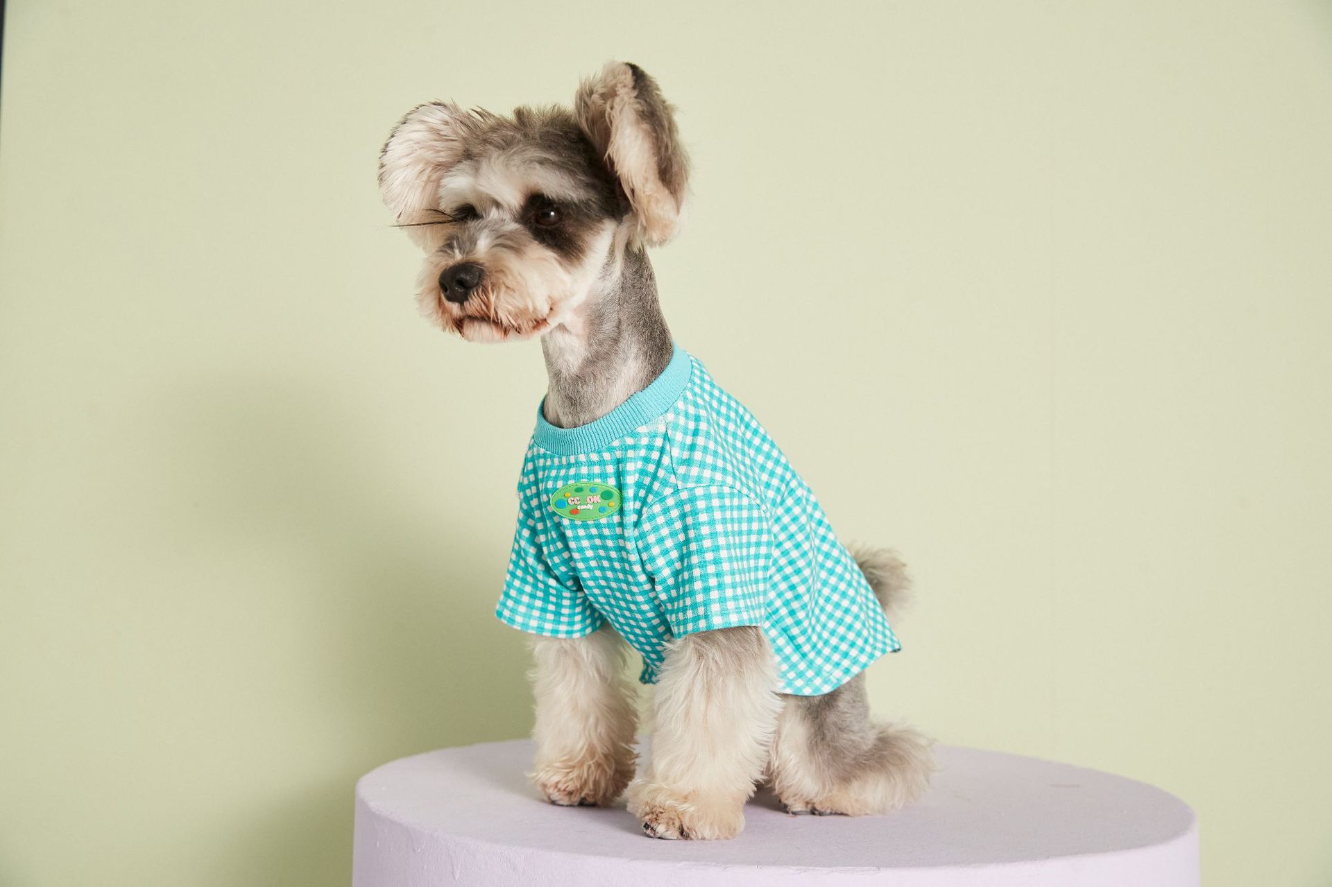 HKM-4899517 Candy Color Plaid T-Shirt in Blue, Yellow, and Pink for a Casual Summer Look - Sizes XS to XXL