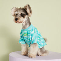 HKM-4899517 Candy Color Plaid T-Shirt in Blue, Yellow, and Pink for a Casual Summer Look - Sizes XS to XXL