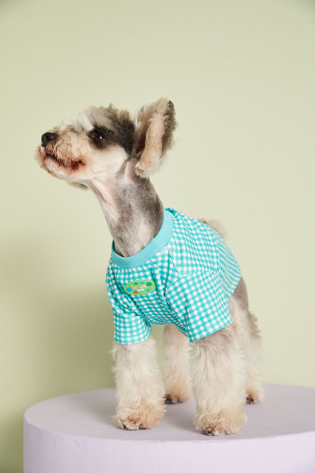 HKM-4899517 Candy Color Plaid T-Shirt in Blue, Yellow, and Pink for a Casual Summer Look - Sizes XS to XXL
