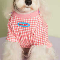 HKM-4899517 Candy Color Plaid T-Shirt in Blue, Yellow, and Pink for a Casual Summer Look - Sizes XS to XXL