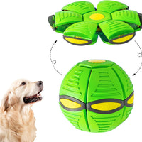 HKM-4902205 Magic Flying Saucer Ball with Lights for Dogs and Kids - Interactive Outdoor Toy