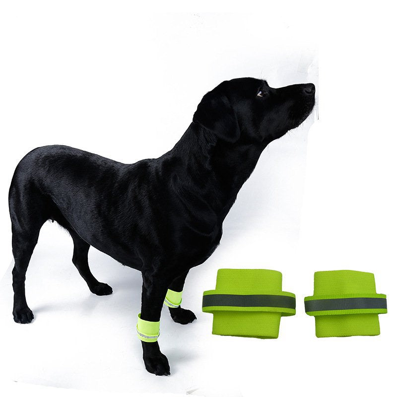 HKM-4907069 Fluorescent Dog Training Foot Covers - Universal Fit, Polyester Material