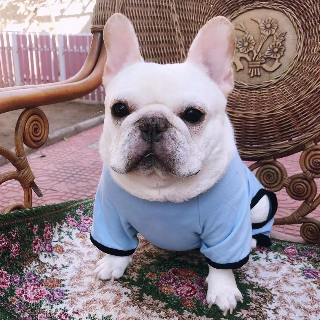 HKM-4911037 Cotton Printed Pajamas for Dogs in Gray, Blue, and Pink Options