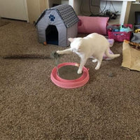 HKM-4911933 Interactive Cat Scratcher Toy with Ball and Mouse Swatter - Engaging Scratch Pad for Cats and Kittens, 13" Base, Durable Design