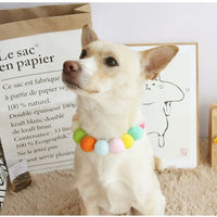 HKM-4912445 Casual Cotton Dog Collar for Shiba Inu and Corgi - Festive Photo Decoration