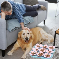 HKM-4916413 Silicone Slow Feeder Dog Bowl and Calming Mat for Interactive Eating and Training