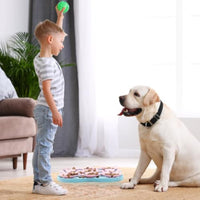 HKM-4916413 Silicone Slow Feeder Dog Bowl and Calming Mat for Interactive Eating and Training