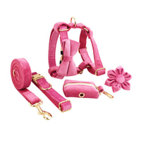 HKM-491667 Soft Velvet Dog Collar with Adjustable Fit and Accessories Included