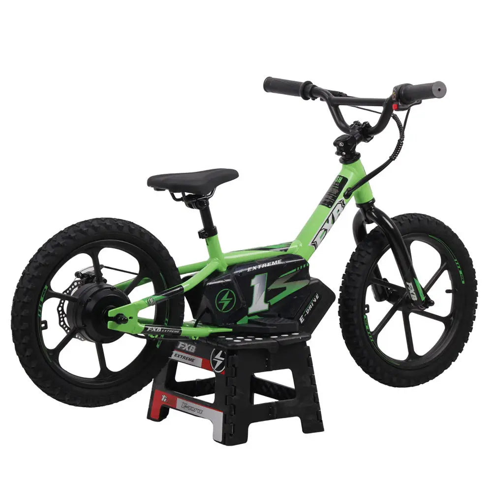 HKM-491731 16-Inch Electric Balance Bike for Kids with Removable Battery, Two-Speed Gears, and Colorful Spokes