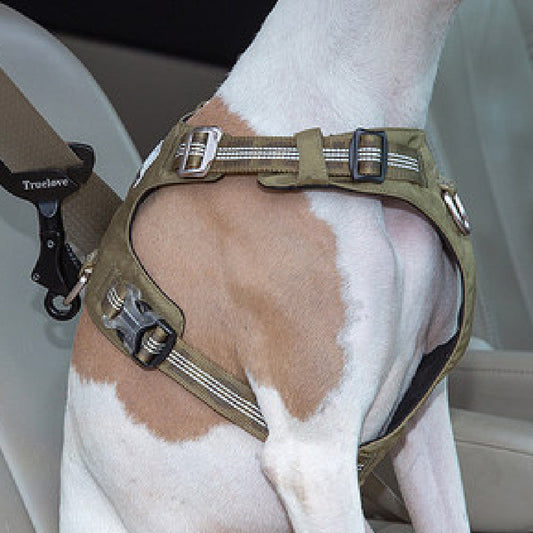 HKM-4919997 Adjustable Pet Safety Buckle for Secure Car Travel - Aluminum Alloy, Multiple Colors