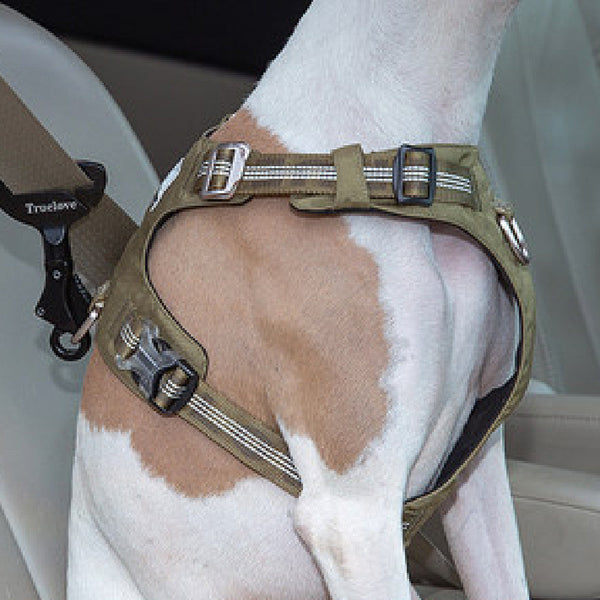 HKM-4919997 Adjustable Pet Safety Buckle for Secure Car Travel - Aluminum Alloy, Multiple Colors