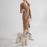 HKM-492179 Medium-Sized Nylon PVC Dog Safety Buckle Traction Rope in Wizard of Oz Green and Shadow White, 120cm Length