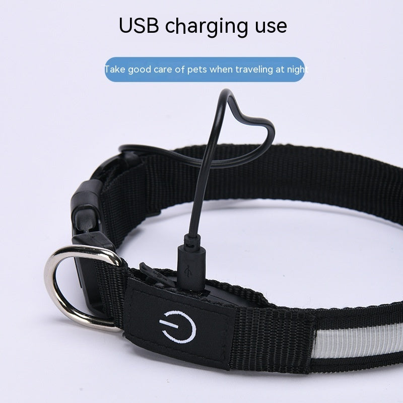 HKM-4923965 Colorful LED Nylon Fishing Line Luminous Collar with USB Rechargeable Battery, 70CM Length