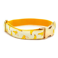 HKM-4925757 Yellow Banana Dog Leash and Collar Set - Adjustable for All Sizes S to XL, Polyester Material