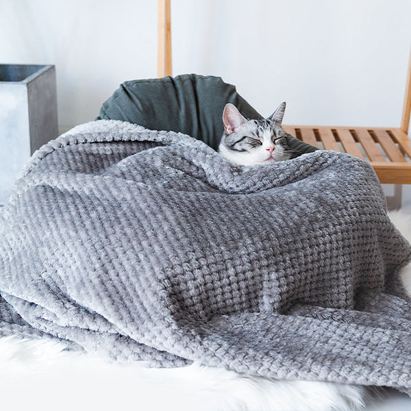 HKM-4935741 Soft Pet Sleep Blanket for Dogs and Cats in Various Colors and Sizes