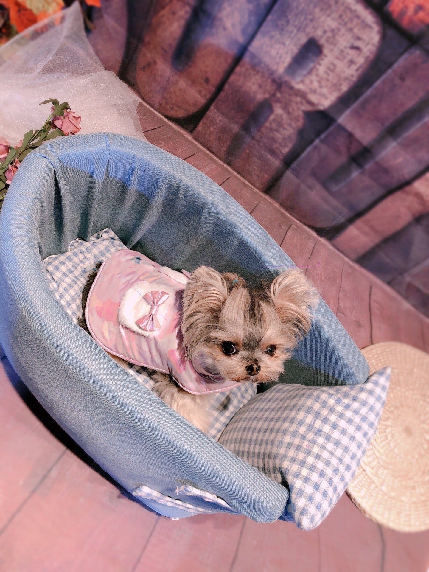 HKM-4937533 Portable Dog Car Seat with Removable Washable Cover for Pets Up to 6kg