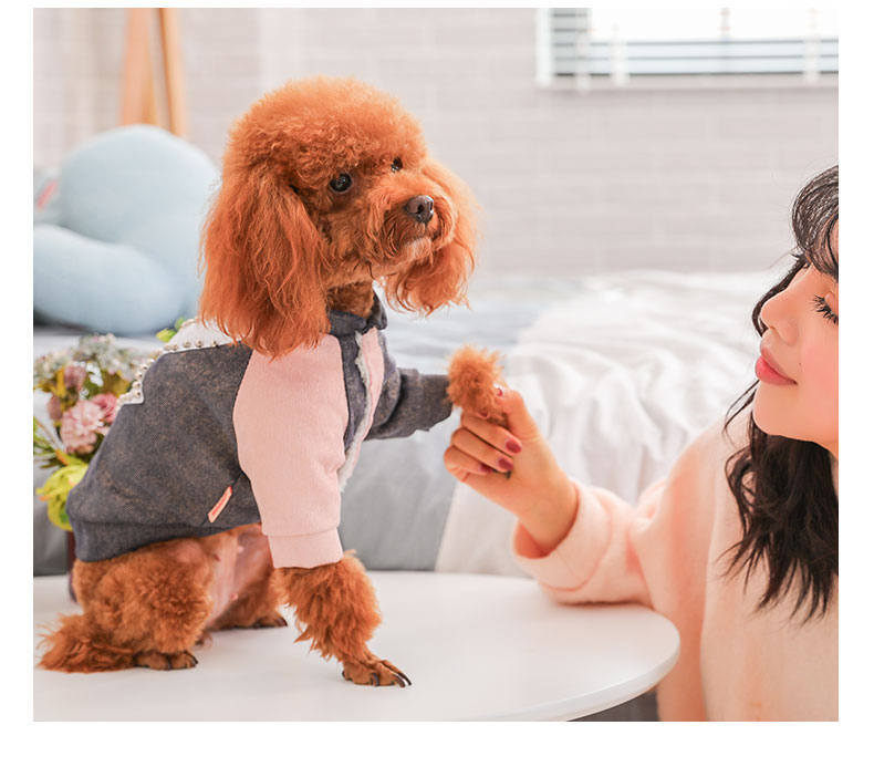 HKM-4945597 Cute Cotton Coat for Small Dogs - Three-Color Stitching, Sizes XS to XXL