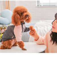 HKM-4945597 Cute Cotton Coat for Small Dogs - Three-Color Stitching, Sizes XS to XXL