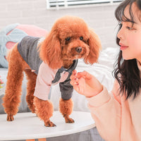 HKM-4945597 Cute Cotton Coat for Small Dogs - Three-Color Stitching, Sizes XS to XXL