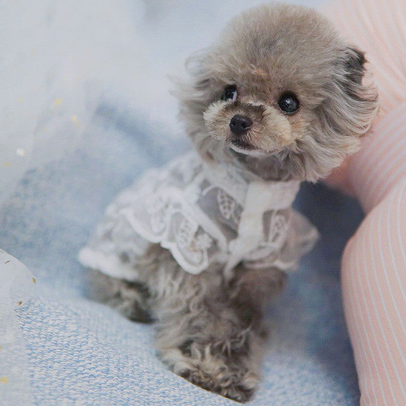 HKM-4949565 Lace Sunscreen Skirt for Pets - Breathable Polyester Clothing for Dogs and Cats in White