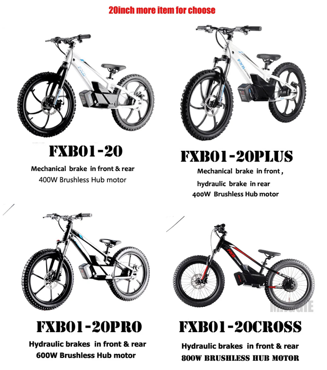 HKM-495187 20 Inch Electric Balance Bike for Kids 5-12 Years Old, 800W, 3 Speed, Aluminum Alloy Frame, Disc Brake