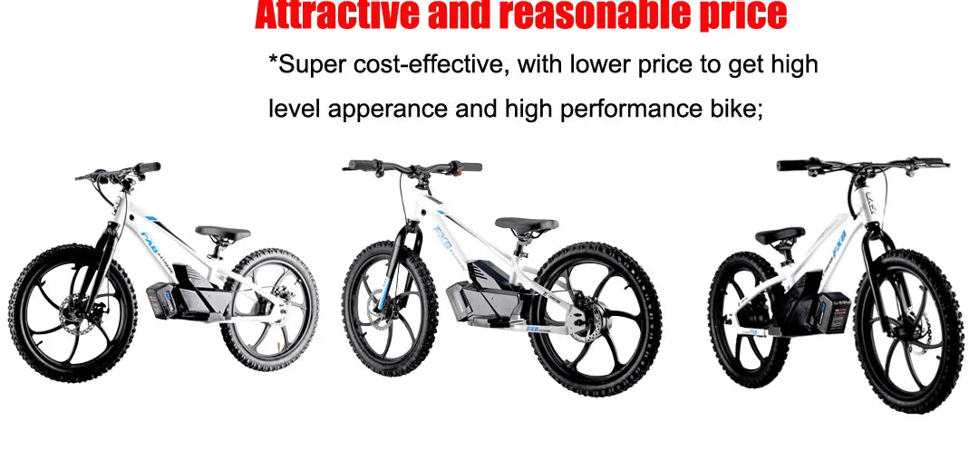 HKM-495187 20 Inch Electric Balance Bike for Kids 5-12 Years Old, 800W, 3 Speed, Aluminum Alloy Frame, Disc Brake