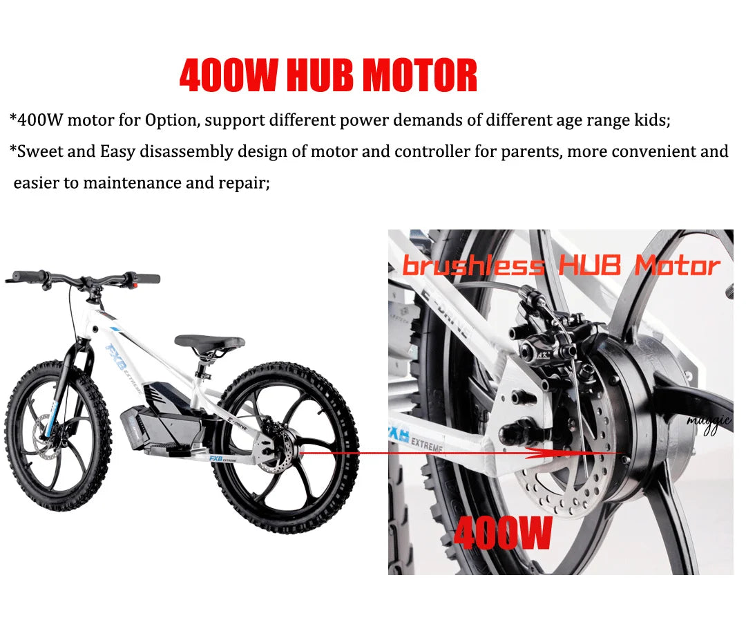 HKM-495187 20 Inch Electric Balance Bike for Kids 5-12 Years Old, 800W, 3 Speed, Aluminum Alloy Frame, Disc Brake