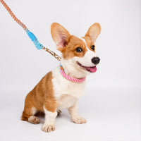 HKM-4952765 Woven Cotton Dog Leash and Collar Set in Vibrant Colors