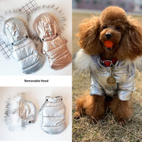 HKM-4953149 Cozy Cotton-Padded Dog Jacket with Fur Collar in Bright Gold and Silver