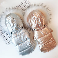 HKM-4953149 Cozy Cotton-Padded Dog Jacket with Fur Collar in Bright Gold and Silver