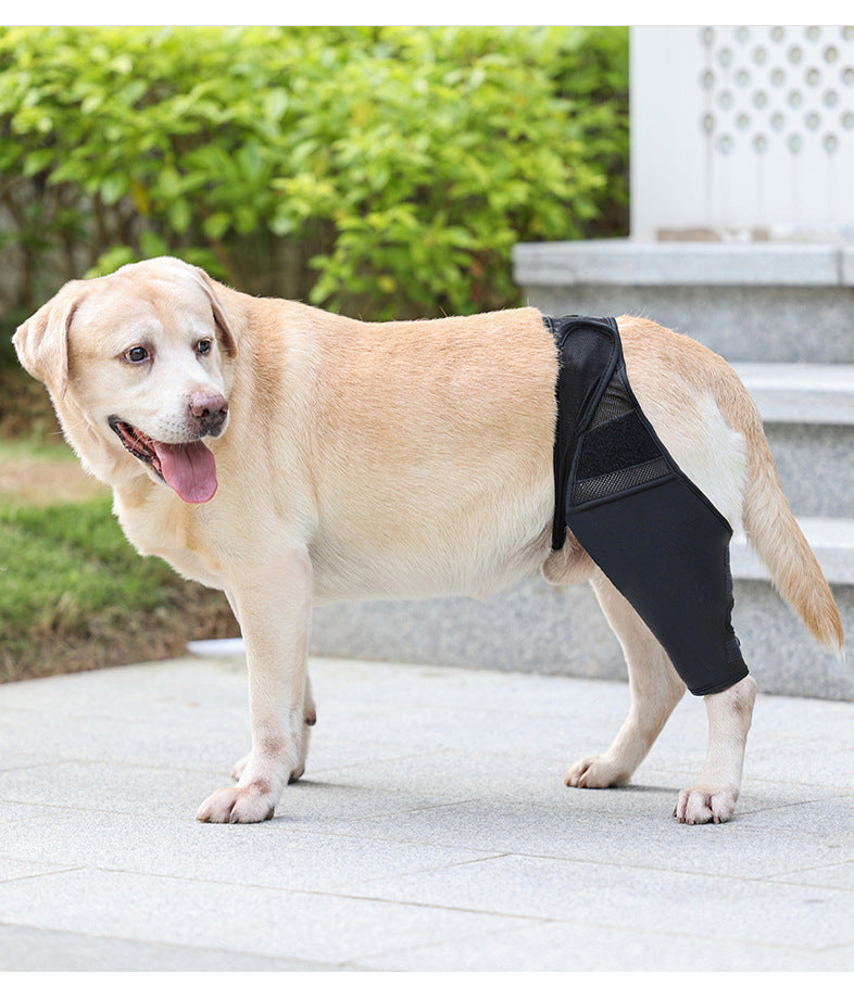 HKM-4955581 Pet Joint Protector for Dogs - Postoperative Knee Pad with Auxiliary Strap - Available in Multiple Sizes
