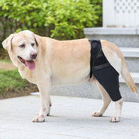 HKM-4955581 Pet Joint Protector for Dogs - Postoperative Knee Pad with Auxiliary Strap - Available in Multiple Sizes