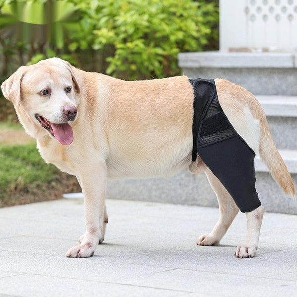 HKM-4955581 Pet Joint Protector for Dogs - Postoperative Knee Pad with Auxiliary Strap - Available in Multiple Sizes