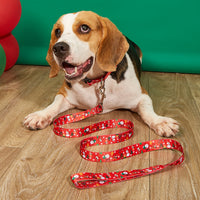 HKM-4970045 Christmas-Themed Pet Collar and Leash Set - Red and Green Polyester Options